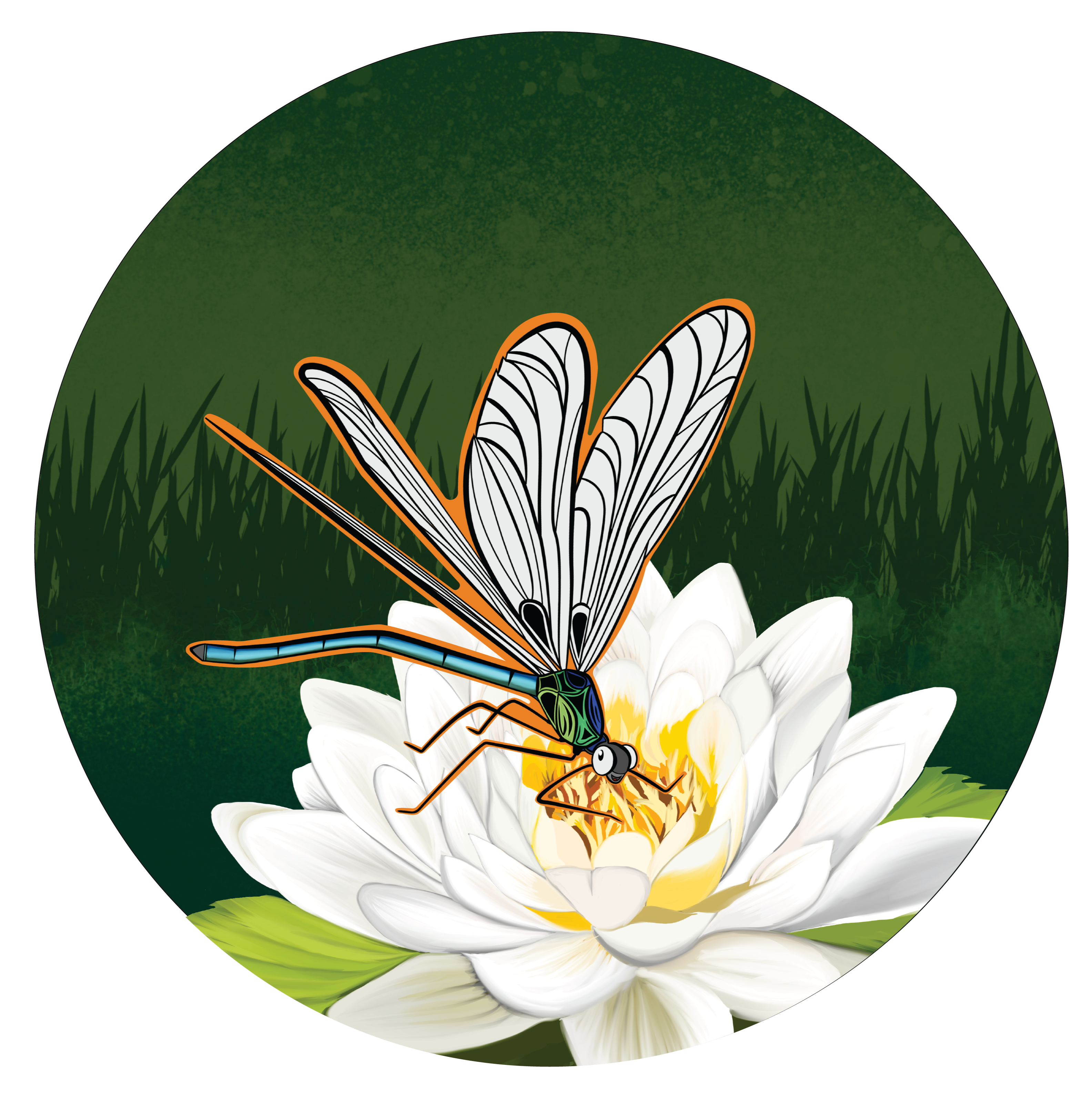 Lulu la protagoniste de notre parcours jeunesse