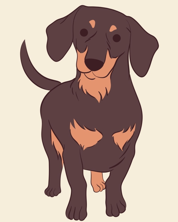 Chien